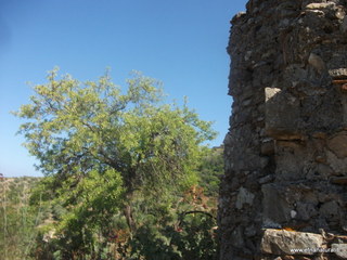 San Michele Forza Agro